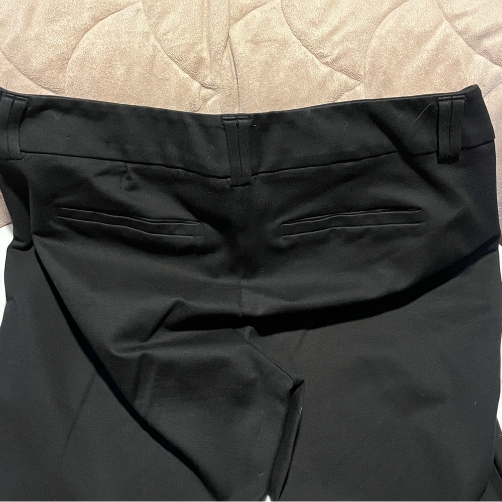 Beautiful Torrid Studio pants 🎩 - Picture 4 of 6